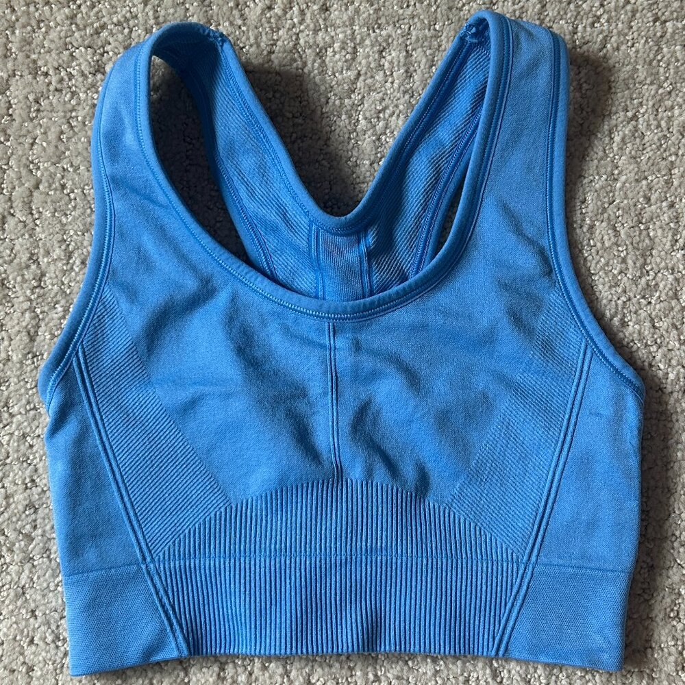 All in Motion Blue Sports Bra